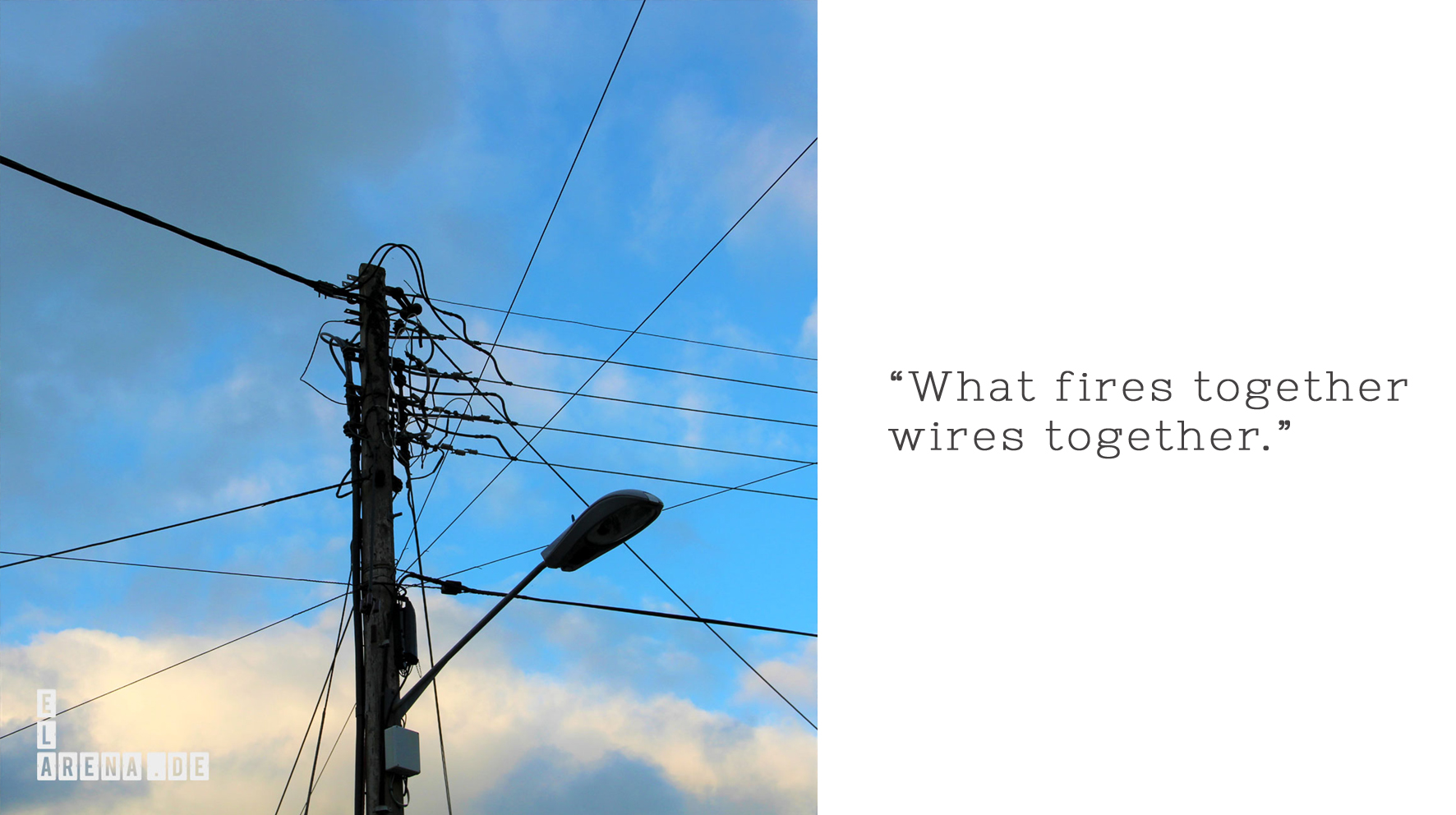 What fires together wires together